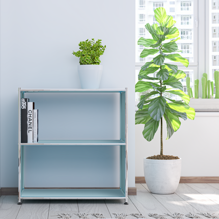 Modern metal bookcase with books and plants in bright living room
